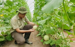 Nông nghiệp Bình Dương khởi sắc nhờ ứng dụng công nghệ cao