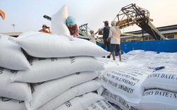 Xuất khẩu gạo Việt Nam vào EU chỉ bằng 1/6 Thái Lan