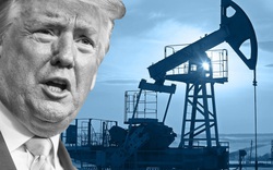 Bầu cử Mỹ: Thất bại của Trump gây áp lực lớn lên thị trường dầu