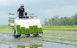 Đưa máy hiện đại xuống đồng, nông dân Kiên Giang "khỏe re"