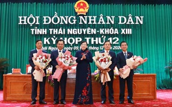 Ông Trịnh Việt Hùng được bầu làm Chủ tịch UBND tỉnh Thái Nguyên 