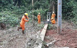 PC Gia Lai nỗ lực đảm bảo an toàn lưới điện vùng nông thôn