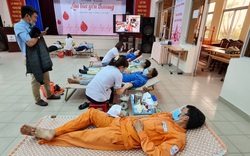 Công ty Điện lực Quảng Nam hiến 100 đơn vị máu cứu người

