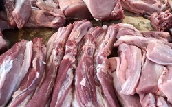 TIN HOT 13/12: Giá thịt lợn hơi tăng trở lại, miền Bắc tăng mạnh nhất 7.000 đồng/kg