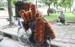 Ngôi làng duy nhất ở Thủ đô làm nghề "tung hoành thiên hạ" thu lượm lông gà lông vịt