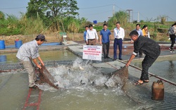 Bắc Ninh: Nuôi nhốt loài cá trắm đen to bự trong lồng, kéo mẻ lưới lên nhiều người trầm trồ