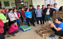 Sơn La: Hộ nghèo bản Tưn nuôi gà an toàn sinh học, bớt lo cảnh thiếu đói mùa giáp hạt