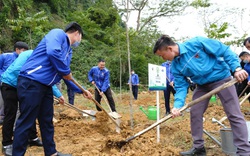 Vinamilk hoàn thành mục tiêu trồng hơn 1,1 triệu cây xanh cho Việt Nam năm 2020