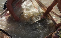 Nuôi cá nước ngọt, cải thiện dinh dưỡng trong bữa ăn ở xã nghèo Đắk Hà