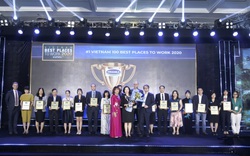 Vinamilk vững vàng vị trí dẫn đầu Top 100 doanh nghiệp bền vững Việt Nam năm 2020