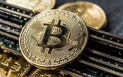 Giá bitcoin có thể phá mốc 300.000 USD nhưng bong bóng sẽ vỡ