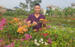 Thái Bình: Chàng trai biến ruộng hoang thành trang trại hoa tiền tỷ