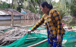 Sóc Trăng: Nông dân nuôi trữ cá đồng, bắt ốc bươu vàng mùa nước nổi, thu nhập khỏe