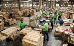 Bình Dương: Sản xuất công nghiệp là động lực