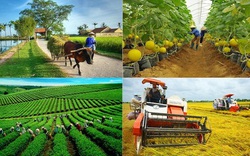 Phát triển nông nghiệp công nghệ cao: Hàng tỷ đồng một cái máy cày nhưng không thể thế chấp ngân hàng