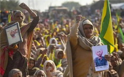 Góa phụ nông dân ở Ấn Độ biểu tình phản đối cải cách nông nghiệp