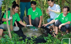 Ảnh: Cận cảnh cá thể rùa Hồ Gươm quý hiếm nhất thế giới nặng gần 90kg mới được phát hiện ở Đồng Mô