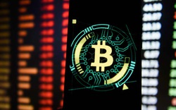 Bitcoin rớt nhẹ sau màn tăng điên cuồng phá ngưỡng 23.000 USD