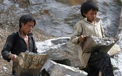 84% lao động trẻ em sống ở khu vực nông thôn