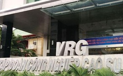 Tập đoàn Cao su Việt Nam hoàn thành kế hoạch lợi nhuận năm 2020