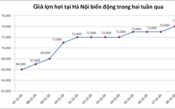 Giá nông sản hôm nay (20/12): Giá tiêu kết thúc một tuần đi xuống, giá lợn hơi tăng giảm trái chiều