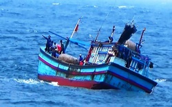 Tàu cá Bình Định bị sóng đánh chìm trên biển, 4 người thoát chết, 2 người mất tích