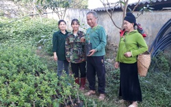 Ông nông dân 38 năm tuổi Đảng nuôi con gì, trồng cây gì mà thành tỷ phú đầu tiên của người Sinh Mun?
