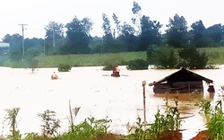 Đắk Lắk: Một người tử vong do mưa lũ