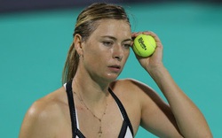 Sharapova và 4 bóng hồng làng quần vợt giải nghệ năm 2020