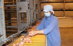 Anh hùng lao động Ba Huân: Chỉ xuất khẩu, "con xóa đói giảm nghèo" mới cứu được nông dân