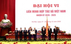 Rót hơn 7.400 tỷ đồng hỗ trợ thành viên vay vốn, "bà đỡ" HTX đóng góp 4,8% GDP