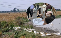 Bắc Ninh: Rủi ro "xuống tiền" dự án Khu nhà ở thôn Đông Yên