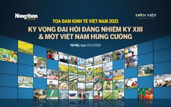 Tọa đàm "Kinh tế 2021: Kỳ vọng Đại hội Đảng nhiệm kỳ XIII và một Việt Nam hùng cường"