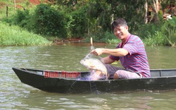 Hồ thủy lợi nào ở tỉnh Bình Phước mà dân mỗi ngày bắt được hàng tạ cá ngon, bán loanh quanh cũng hết sạch?