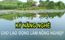 Tọa đàm: Tăng cường xây dựng kỹ năng nghề trong ngành nông nghiệp