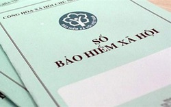 TP.HCM: Số người tham gia BHXH, BHYT tăng trở lại