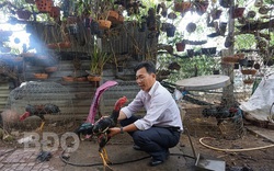 Làm giàu khác người: Không ít nông dân tỉnh Bình Định lãi 20 triệu/tháng nhờ ham đá gà từ nhỏ