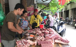 Hà Nội dự kiến cung ứng gần 57 tấn thịt lợn cho dịp Tết, dân không lo thiếu
