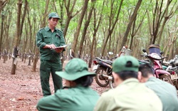 Những "bàn tay vàng" trong làng cạo mủ cao su, được nâng lương, lên chức