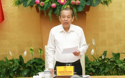 Phó Thủ tướng Trương Hòa Bình: 2021 là năm bản lề trong khát vọng đưa Việt Nam thành nước phát triển