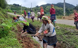 Khi nhân dân Vân Hồ đồng lòng xây dựng nông thôn mới