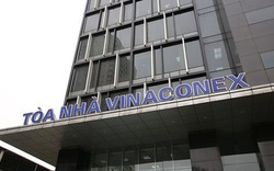 Thi công các dự án nghìn tỷ, Vinaconex lọt TOP đầu DN xây dựng lớn nhất Việt Nam