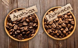 Nông dân tích cực bán hàng, giá cà phê Arabica bất ngờ giảm mạnh