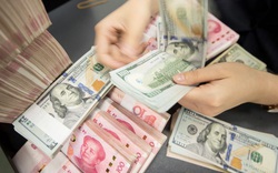 Mỹ cáo buộc Việt Nam “thao túng tiền tệ”: Tỷ giá trong năm 2021 sẽ ra sao?