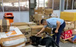 CLIP chó nghiệp vụ tìm thấy gần 5kg ma túy ở sân bay Tân Sơn Nhất