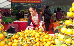 Nguy cơ khủng hoảng thừa, Hà Giang tính cách chế biến sâu quả cam