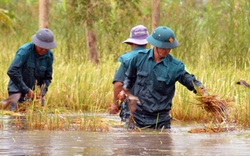 Theo UBND tỉnh Cà Mau thì năm 2020 tỉnh này bị thiệt hại mấy nghìn tỷ đồng vì thiên tai?
