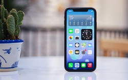 iPhone 12 đã ra mắt nhưng chiếc iPhone này vẫn "phong độ"