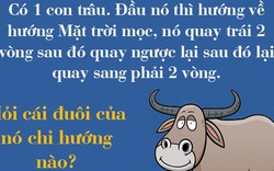 Nhiều người sẽ "quỳ" nếu bạn giải được chùm 4 câu đố này trong 1 phút