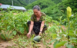 Cuộc sống mới sau lũ quét kinh hoàng ở bản Sa Ná 